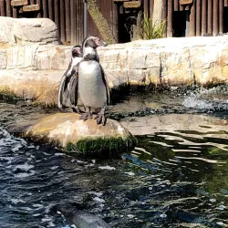 Jurassic Skyline - Weymouth