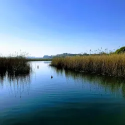 Radipole Lake Nature Reserve - Weymouth