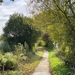 Radipole Lake Nature Reserve - Weymouth