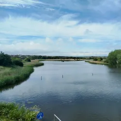 Radipole Lake Nature Reserve - Weymouth
