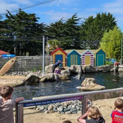 Sea Life Centre Weymouth - Weymouth