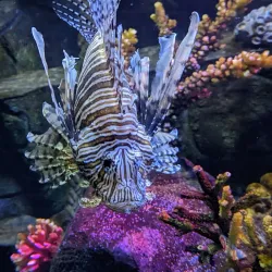 Sea Life Centre Weymouth - Weymouth