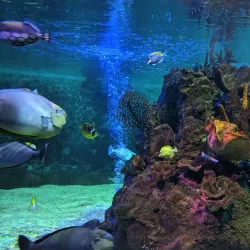 Sea Life Centre Weymouth - Weymouth
