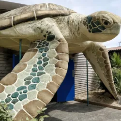 Sea Life Centre Weymouth - Weymouth