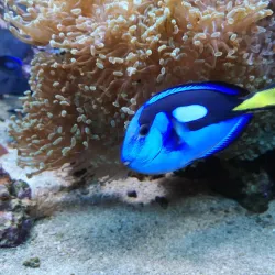 Sea Life Centre Weymouth - Weymouth