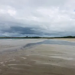 Baillie’s Beach - Wick