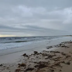 Baillie’s Beach - Wick