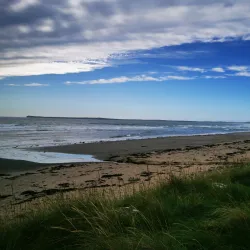 Baillie’s Beach - Wick