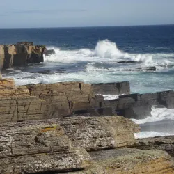 Castle of Old Wick - Wick