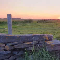 Castle of Old Wick - Wick