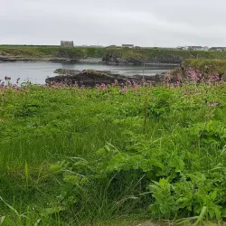 St. Fergus Church - Wick