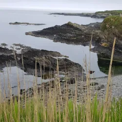 St. Fergus Church - Wick