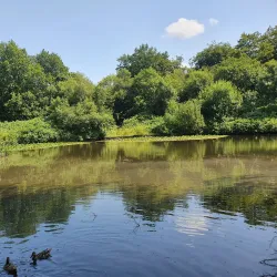 Haigh Woodland Park - Wigan