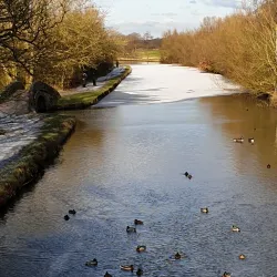 Haigh Woodland Park - Wigan