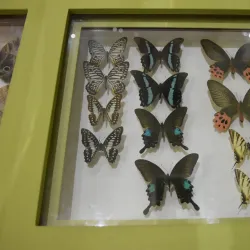 Museum of Wigan Life - Wigan