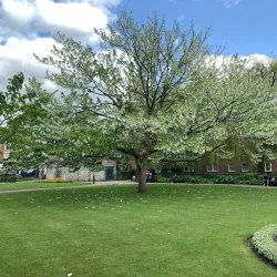 Abbey Gardens - Winchester
