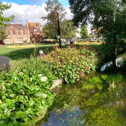 Abbey Gardens - Winchester