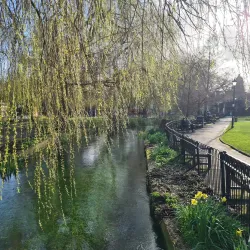 Abbey Gardens - Winchester