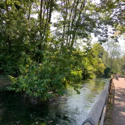 Winchester City Mill - Winchester