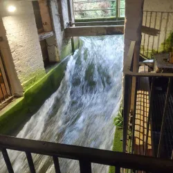 Winchester City Mill - Winchester