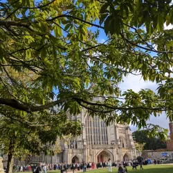 Winchester City Museum - Winchester