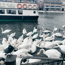 River Thames Walk - Windsor