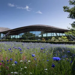 Savill Garden - Windsor