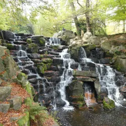 Windsor Great Park - Windsor