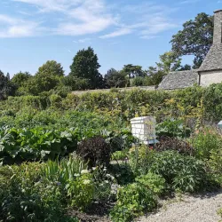 Cogges Manor Farm - Witney