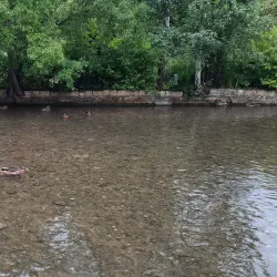River Windrush Walks - Witney