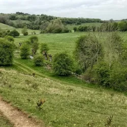 River Windrush Walks - Witney