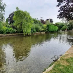 River Windrush Walks - Witney