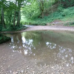 River Windrush Walks - Witney