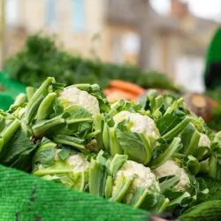 Witney Market - Witney