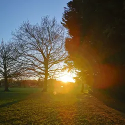 Goldsworth Park - Woking