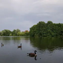 Goldsworth Park - Woking