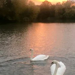 Goldsworth Park - Woking