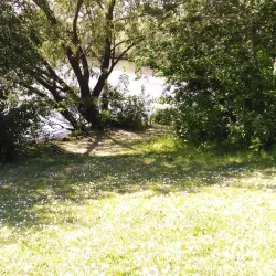 Goldsworth Park - Woking