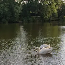 Goldsworth Park - Woking