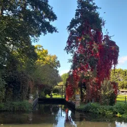 Pyrford Village - Woking