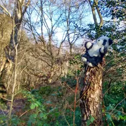 Pyrford Village - Woking