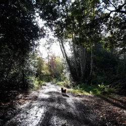 Pyrford Village - Woking