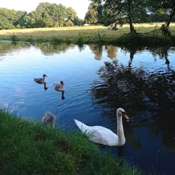 Pyrford Village - Woking