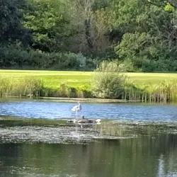 Pyrford Village - Woking