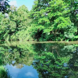 Pyrford Village - Woking