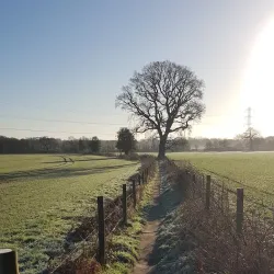 Pyrford Village - Woking