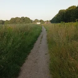 Pyrford Village - Woking