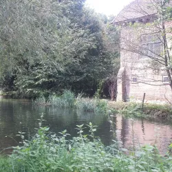 Pyrford Village - Woking