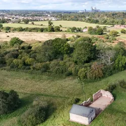 Woking Palace - Woking