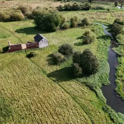 Woking Palace - Woking
